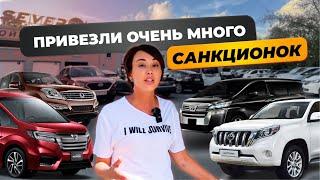 УТИЛЬ ВЫРАСТЕТ⁉️СТОЯНКА ЛОМИТСЯ ОТ САНКЦИОНКИ! ПРИВЕЗЛИ НОВЫЙ ALPHARD, NISSAN SERENA 2024 ГОДА