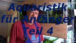 Aquaristik für Anfänger Teil4