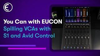 Spill VCA Groups With S1 & Avid Control | You Can With EUCON