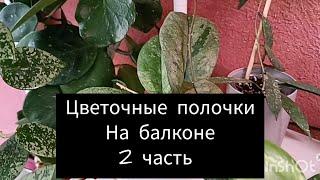 цветочные полочки на балконе 2 часть