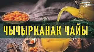 ЧЫЧЫРКАНАК чайынын ден соолукка пайдасы