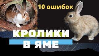 10 ошибок Кролики в яме. Кролиководство, содержание, разведение, выращивание кроликов в яме.