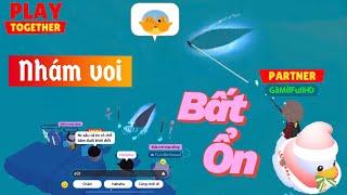 Play Together | Một tuần chơi game đầy bất ổn