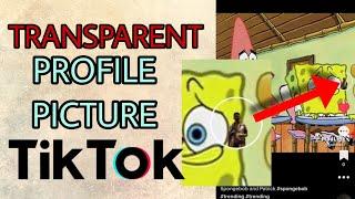 How to make your Profile Picture Transparent on Tiktok. New Update 2022