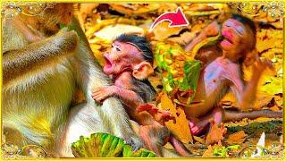 P-ity Tiny Baby Ask Food From Mom Anna, But She Doesn't Allow And W@rning.