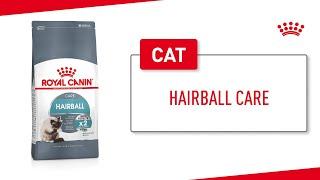 Hairball Care