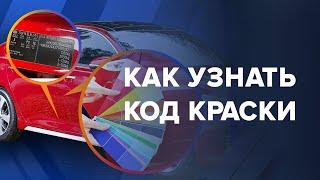 Как узнать КОД и название ЦВЕТА автомобиля | 3 способа НАЙТИ КОД КРАСКИ