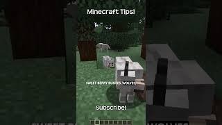 What Is The Command To Find A Taiga Biome In Minecraft!
