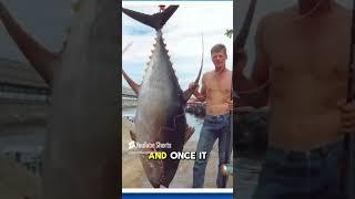 Monster 388 Pound Yellowfin Tuna Caught! #fishing #fish #oceangiants