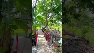 Nhà vườn giáp suối chảy quanh năm, ban gấp giá thương lượng