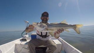 My FIRST Time Fishing Flamingo In 6 Years... Everglades National Park