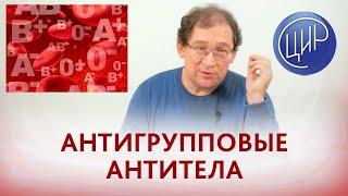 Антигрупповые антитела. Какой титр антител по групповому конфликту АВ0 является критичным? Гузов И.И