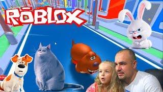 ТАЙНАЯ ЖИЗНЬ ДОМАШНИХ ЖИВОТНЫХ 2 !The Secret Life of Pets РОБЛОКС ЛЕТСПЛЕЙ в ROBLOX SIMULATOR