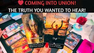 ️ COMING INTO UNION! THE TRUTH YOU WANTED TO HEAR! #tarot #soulmate #love #truelove #tarotreading