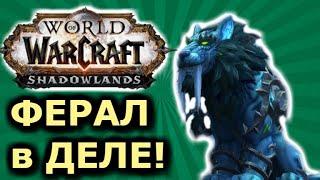 ВПЕРВЫЕ ФЕРАЛ Друид в Shadowlands! Shadowlands! WoW 9.0.2! ● РЭЙВИС