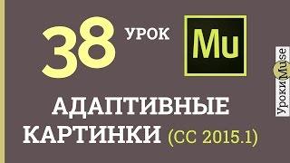 Adobe Muse уроки | 38. Адаптивные картинки по ширине браузера