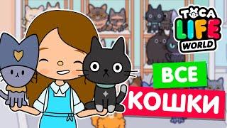 СОБРАЛА ВСЕХ КОТОВ и КОШЕК в Тока Бока  Toca Life world