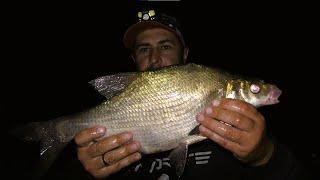 Night feeder. Fishing with overnight stay on the Desna.