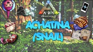 ACHATINA - Everything from Ark to Plant Species Z - Ep 2 - Ark Survival Evolved