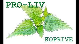 Pro-liv - Koprive