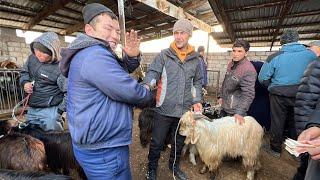 ЖУМЪА БОЗОР НАРҲОИ ТАКА СЕРКА БУЗ ГОВИ ШИРТЕ БУГУЗ ГУСАЛАДОР НАРХИ БОЗОРА БИНЕН 31-12-22