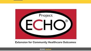 ECHO Autism:  Leveraging Partnerships to Build Autism Ready™ Communities-- May 2019 AARC Webinar