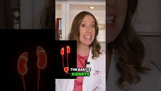 Crazy Facts About Pregnancy