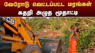 வேரோடு வெட்டப்பட்ட மரங்கள்.. கதறி அழுத மூதாட்டி | cuddalore