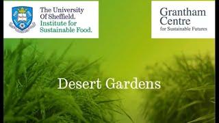 Desert Garden: growing food at Zaatari refugee camp