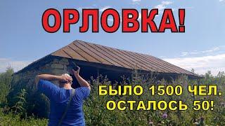 Было 1500 человек, осталось 50. Липецкая область, Данковский район, с. Орловка