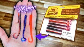 The BEST Ultralight Fishing Lure?  Mule Fishing Jackworm!