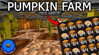 GOOD Donut smp PUMPKIN FARM tutorial - Minecraft