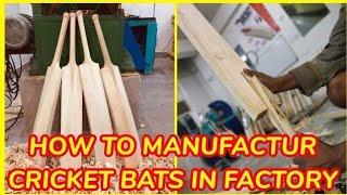 Process of Making Cricket Bats | Factory inside | How2do