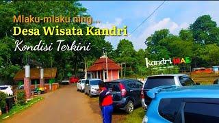 DESA WISATA KANDRI | KONDISI TERKINI SENDANG GEDE