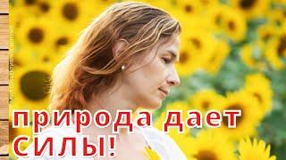 Субъективное мнение! Как русскоязычные жители Болгарии отдыхают!