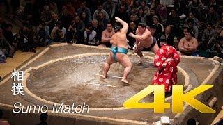 Sumo Match - Tokyo - 相撲