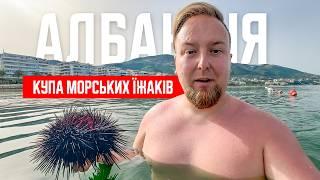  Албанія. Вльора. Купа морських їжаків! Пляжі біля морського променаду