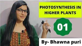 CLASS-11TH||CH-13||L-01||TERM-2||BIOLOGY||BHAWNA PURI