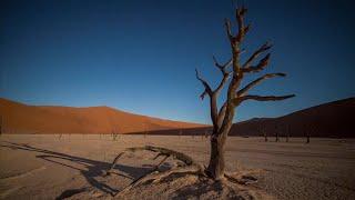 Dub To Africa - Psybient, PsyDub, Downtempo Mix