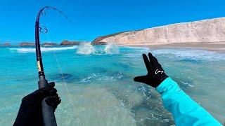 Shoreline Giants: Sight Casting, Catch & Cook Adventure Gone Wild