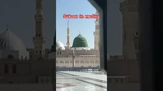 The Most Spiritual Experience You Can Have in madina #shorts #saudiaarbia #madina #makkah