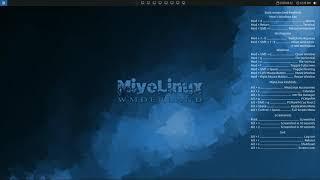 MiyoLinux wmderland x86_64 UEFI is now available