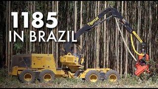 Tigercat 1185 Harvester in Brazil