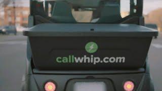 New company 'Whip' provides eco-friendly transportation