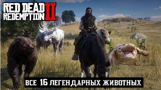 RDR 2 ВСЕ ЛЕГЕНДАРНЫЕ ЖИВОТНЫЕ