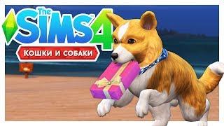 ВСЕ ЧТО ВЫ ХОТЕЛИ \The Sims 4: Кошки и собаки #14