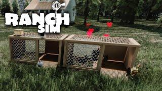 Пополнение в курятнике! И в амбаре тоже | Ranch Simulator #2