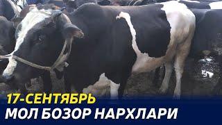 МОЛ БОЗОРИ НАРХЛАРИ.