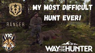 Realistic Blacktail Hunt! On Aurora Shores | Way of the Hunter