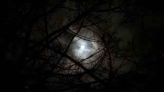 dark ambient horror cinematic halloween atmosphere scary         by SoundGalleryByDmitryTaras